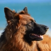 Image d'illustration par Free-Photos de Pixabay