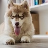CC0 Public Domain via Pexels